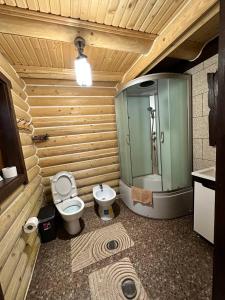 沃罗赫塔Oberig Apartmens的一间带卫生间和玻璃淋浴间的浴室