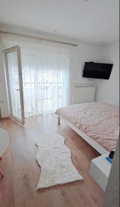 普拉夫Rooms Lida & Friendly home的一间卧室设有一张床和一个大窗户