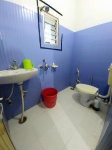 菩提伽耶Aryan guest house的蓝色的浴室设有水槽和卫生间