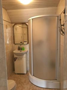 里加Room in a Private House 10 min from Airport Riga的带淋浴和盥洗盆的浴室