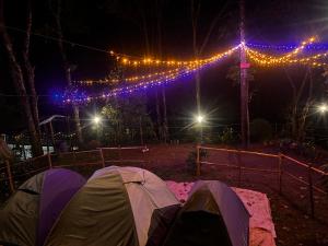 钦纳卡纳Spies Munnar Camping的两个帐篷在野外的夜晚,灯光照亮