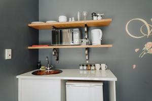 乔治亚考恩宾馆的厨房柜台设有水槽和微波炉