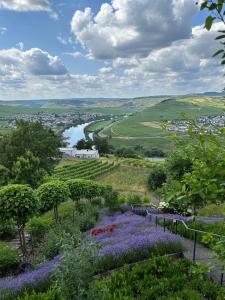 Ferienwohnung "Auszeit Im alten Weinberg"鸟瞰图