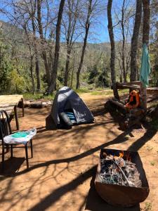 El BolsicoCamping don Zacarías的野外的营地,有帐篷和火