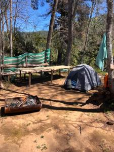 El BolsicoCamping don Zacarías的树林里的帐篷和野餐桌