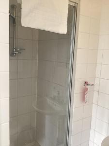 萨顿布里奇滨江酒店的带淋浴的浴室和玻璃门