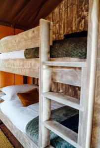 德罗伊特威奇Fibden Farm Glamping - Luxury Safari Lodge的配有双层床的客房内的双层床,配有高潮格马克斯韦尔格马克斯韦尔