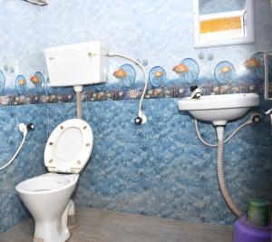 Mādāri HātJaldapara Binaychapa homestay的一间带卫生间和水槽的浴室