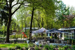 洪德洛De Rimboe en de Woeste Hoogte的公园里一组桌椅和遮阳伞