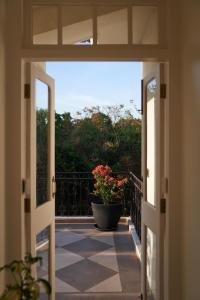 瓦加托LohonoStays Villa Aurelia E的通往带花盆的阳台的开放式门