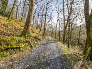 多尔盖罗Pandy Farm Yurt - Panoramic mountain views within Snowdonia's National Park - 4x4 recommended的树木林立的土路