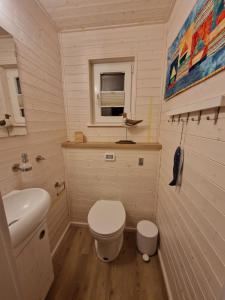 施特拉尔松德Hausboot Liliput的一间带卫生间和水槽的小浴室