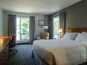 金斯顿Donald Gordon Hotel and Conference Centre的酒店客房设有一张床、一张书桌和窗户。