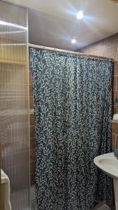 塞纳河畔诺让Aux Écuries Des Pres的浴室内配有蓝色和白色的淋浴帘。