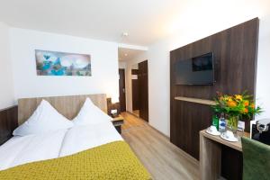 巴塞尔阿尔法酒店的配有一张床和一台平面电视的酒店客房