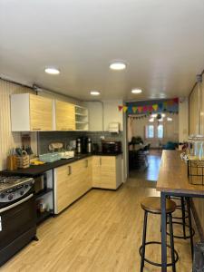圣地亚哥Enjoy Hostel的厨房配有木制橱柜和台面