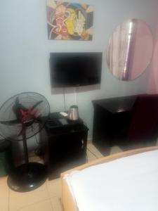 阿库雷CRYSTAL SUITES的一间卧室配有电视和一张带风扇的书桌。