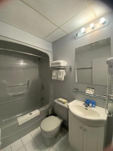 洛基港海景酒店的一间带卫生间、水槽和镜子的浴室