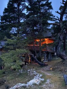 CailleLes Cabanes de Maya的树上灯火的小屋