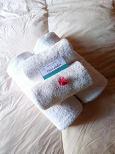 科洛尼亚-德尔萨克拉门托Posada San Gabriel的床上一双毛巾