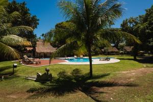普拉亚多斯卡内罗斯班格多哥美罗若旅馆的游泳池旁的棕榈树