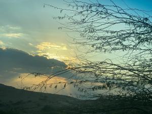 索瓦马A wonderful stay at the Dead Sea的背景中带有日落的树