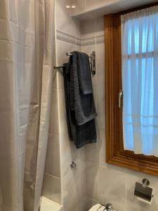 GoizuetaUrumea Apartamento的带淋浴和毛巾架的浴室