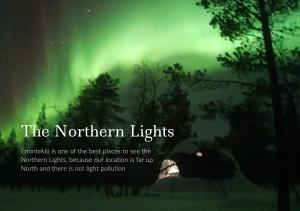 VuontisjärviArctic Nature Experience Glamping的天空中北极光的图像