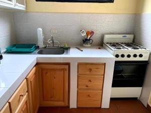 帕纳哈切尔Villas JABEL TINAMIT的厨房柜台设有水槽和炉灶。