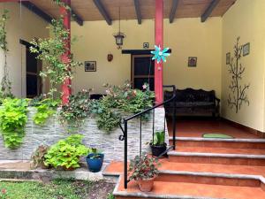 帕纳哈切尔Villas JABEL TINAMIT的盆栽植物的房屋门廊