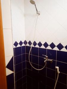 索维拉Sweaty house的浴室设有蓝色和白色瓷砖淋浴。