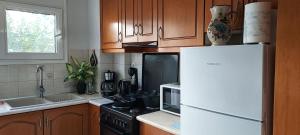 科莫蒂尼Like your home的厨房配有白色冰箱和炉灶。