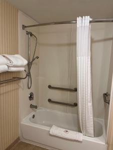 莫沃Tapa Hotel, Inn & Suites的带浴缸和淋浴帘的浴室