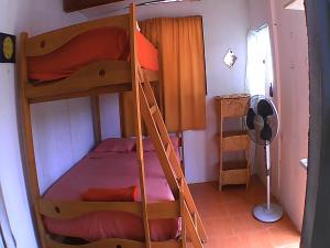 曼克拉Wiracocha Hostal Máncora - Surf Camp的一间卧室设有两张双层床和梯子