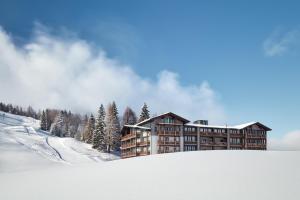 索内纳尔佩·纳斯费尔德Hotel Wulfenia 4S - Adults Only的一座有树木和雪的白雪 ⁇ 的山丘上