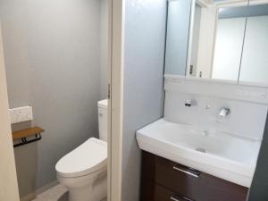 奄美HOOD - Vacation STAY 46460v的一间带卫生间、水槽和镜子的浴室