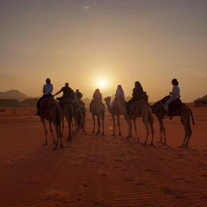瓦迪拉姆RUM HiLTON lUXURY CAMP的一群在沙漠里骑马的人