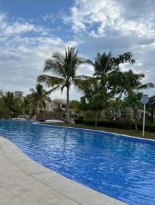 塞拉莱Hawana Salalah Villa的一个种有棕榈树的大型蓝色游泳池