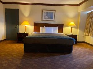 桑兹顿Dominion Inn and Suites的酒店客房,配有一张床和两盏灯