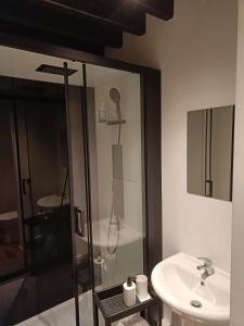 安特卫普Viktoria HOSTEL的带淋浴和盥洗盆的浴室
