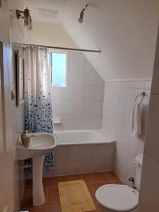 科伊艾科House Patagonia III的带浴缸、盥洗盆和卫生间的浴室