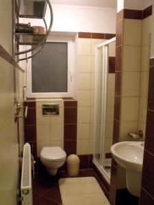 恰萨纳格拉Apartamenty- Mieszkania Wakacyjne的一间带卫生间和水槽的小浴室