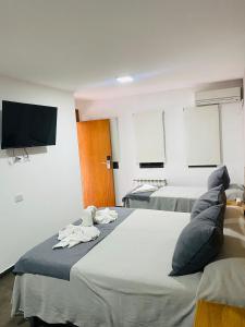 维拉卡洛斯帕兹Ranqueles的客房设有两张床和一台平面电视。