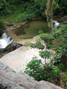 曼加拉蒂巴Carvalho de Muriqui的小溪旁的小水池