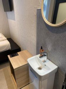 萨拉热窝VILLA BASAMAK的一间带水槽和镜子的浴室以及一张床