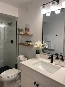 丹佛Private, cozy, suite by Mile High Stadium and Downtown Denver!的一间带水槽、卫生间和镜子的浴室