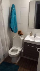 圣地亚哥Espectacular departamento Ñuñoa的浴室配有白色卫生间和盥洗盆。