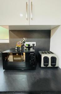 康提Rani Suite and Cabin的厨房柜台上的微波炉和烤面包机