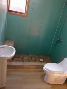 纳维达德Casa Los Queñes的一间带卫生间和水槽的浴室