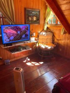 迦太基La Cabaña: Descanso y Naturaleza的客厅配有电视、椅子和椅子